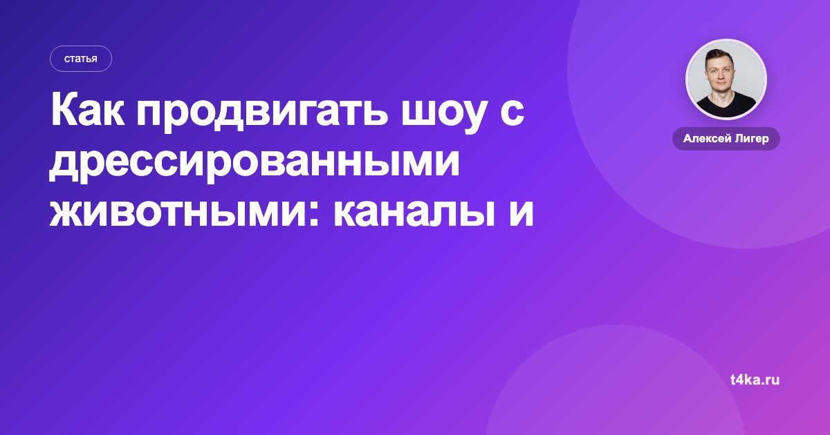 Как продвигать шоу с дрессированными животными: каналы и цена заявки