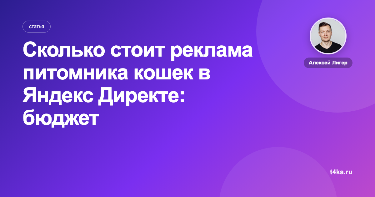Сколько стоит реклама питомника кошек в Яндекс Директе: бюджет и заявки