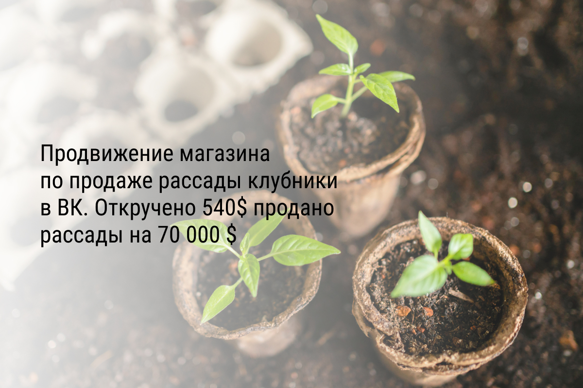 Кейс: Продвижение магазина по продаже рассады клубники в ВК. Откручено 540$ продано рассады на 70 000 $