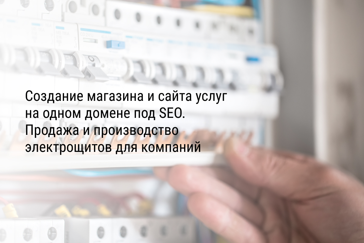 Создание магазина и сайта услуг на одном домене под SEO. Продажа и производство электрощитов для компаний