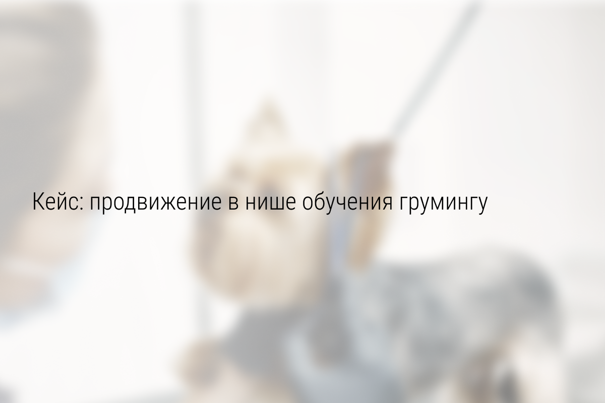 Как 10.000 руб. превратить в 171.000 руб. на обучении грумингу?