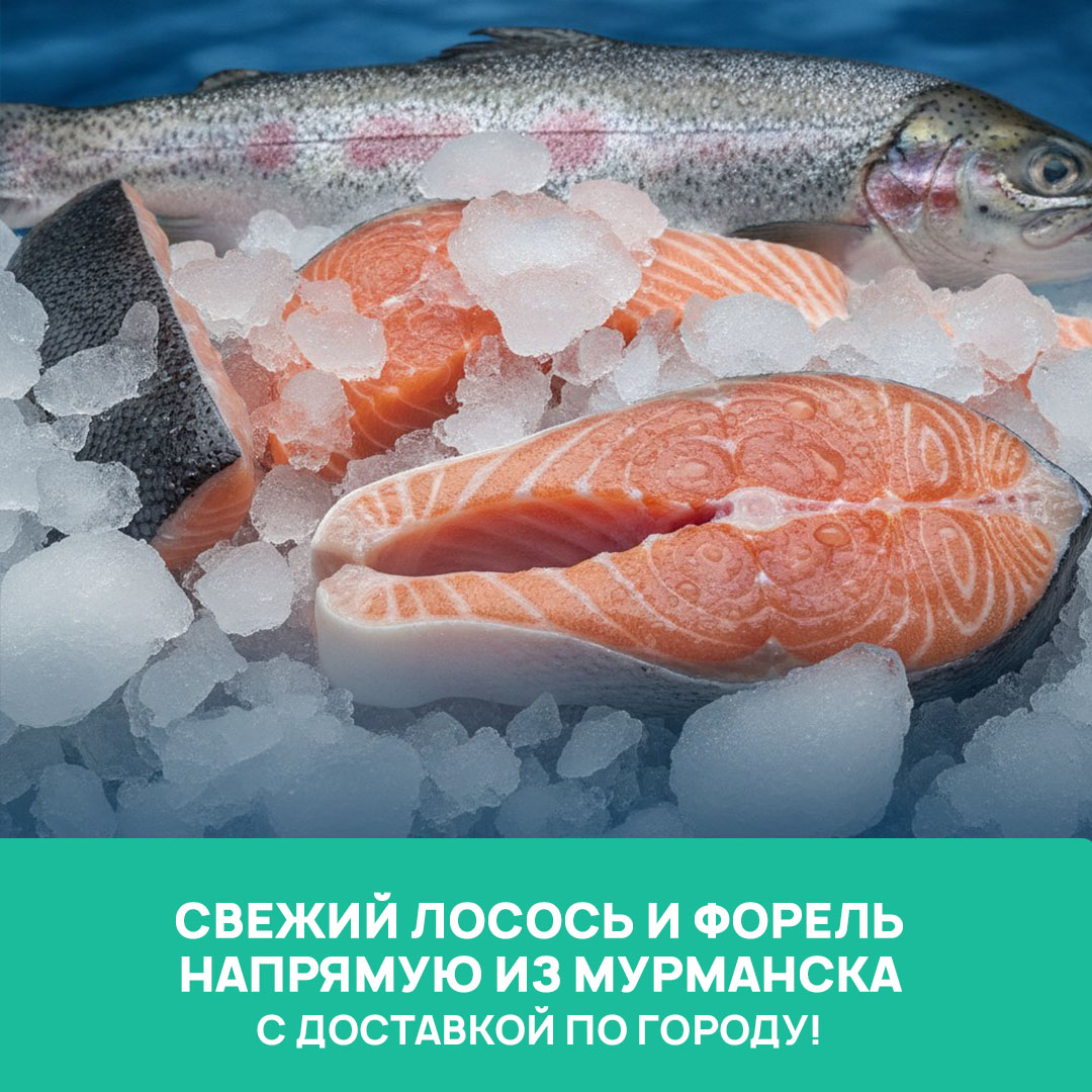 Пример рекламного креатива для магазина рыбы «Свежий улов»