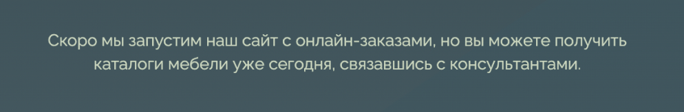 Кейс продвижения производителя премиум-мебели — иллюстрация 2