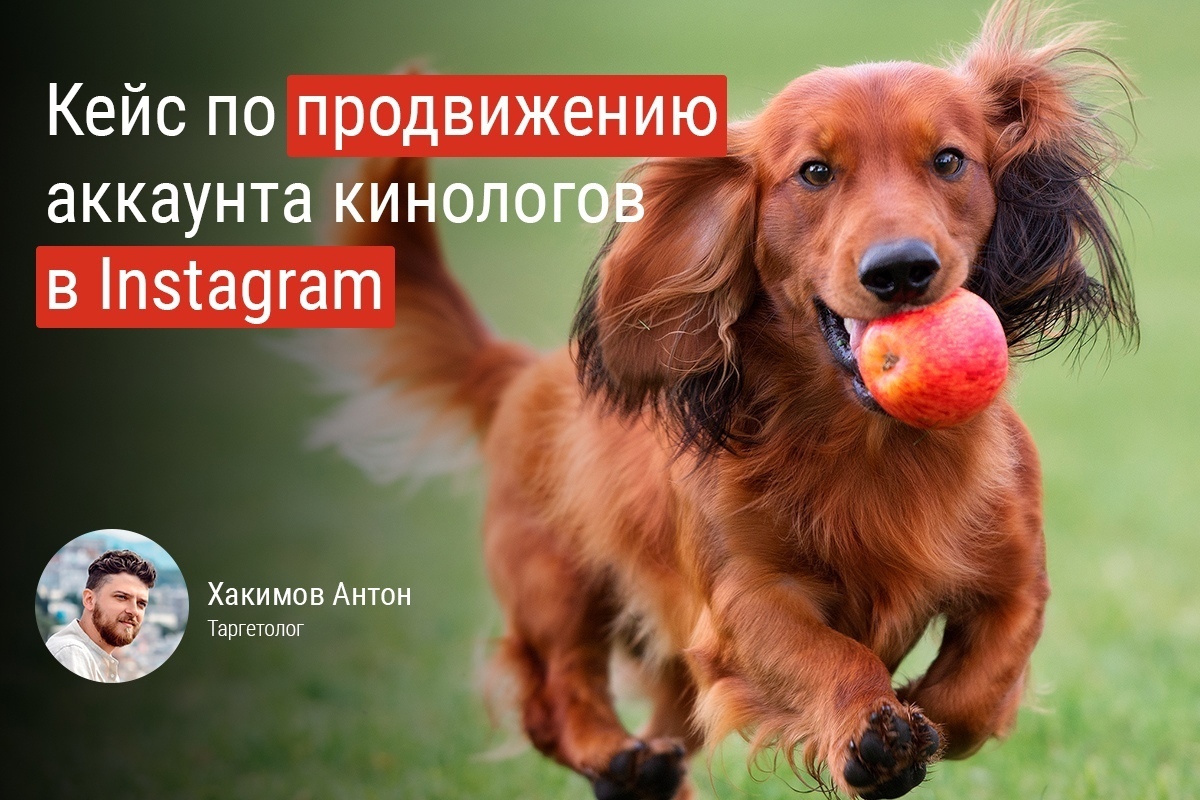 Кейс: Продвижение аккаунта профессиональных кинологов в Instagram