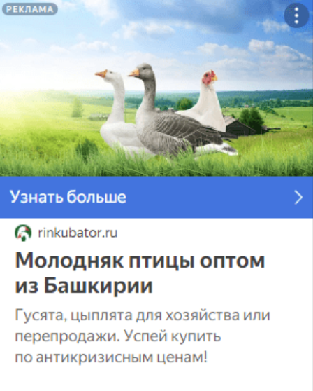 Кейс продвижения оптового поставщика. Контекстная реклама производству с/х птицы — иллюстрация 2