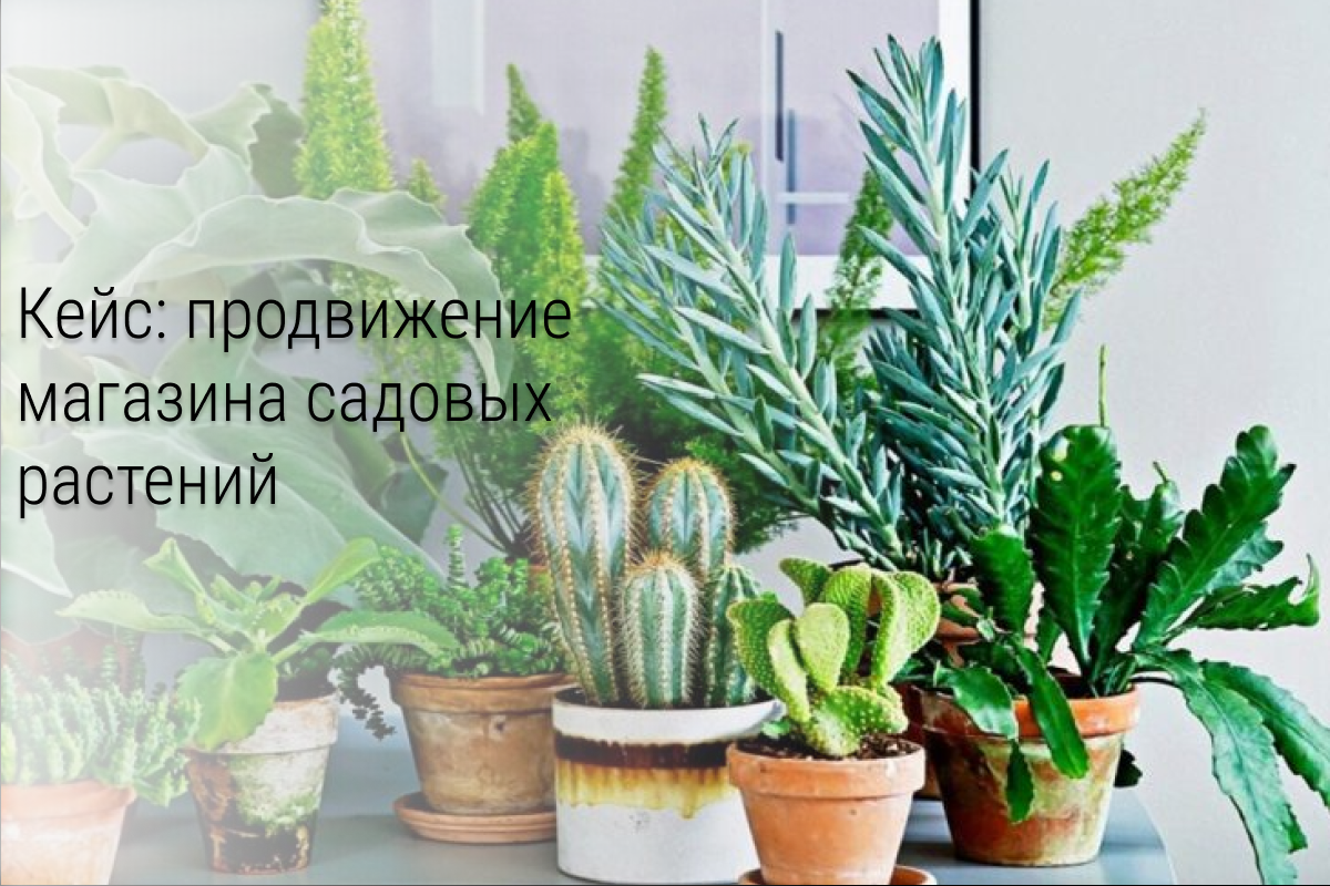 Кейс: 400 подписчиков и 89 лидов для магазина садовых растений за 10 т.р.