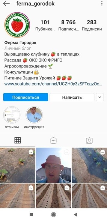 Кейс: Продвижение магазина по продаже рассады клубники в ВК. Откручено 540$ прод