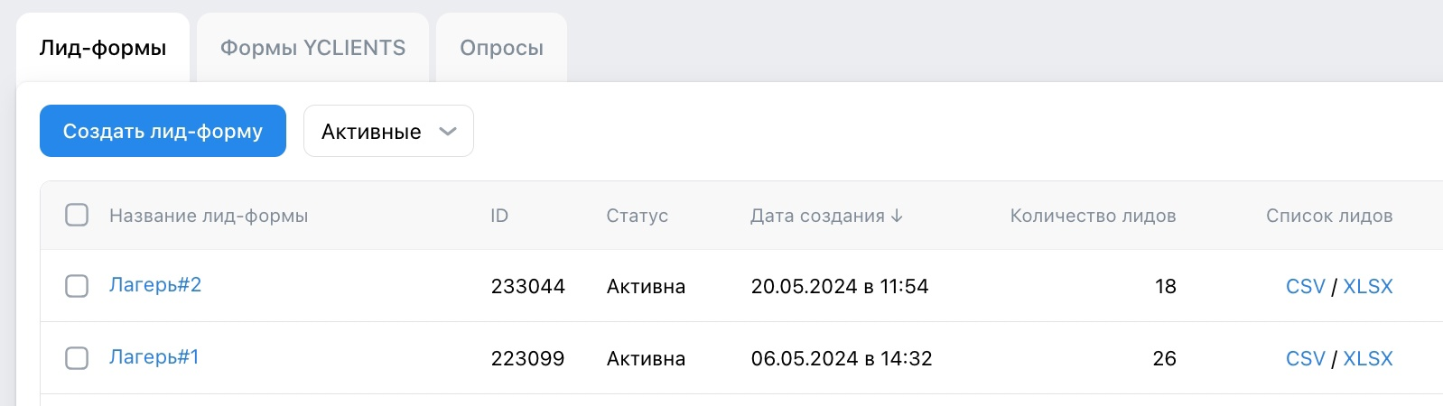 Кейс продвижения детского лагеря — иллюстрация 4