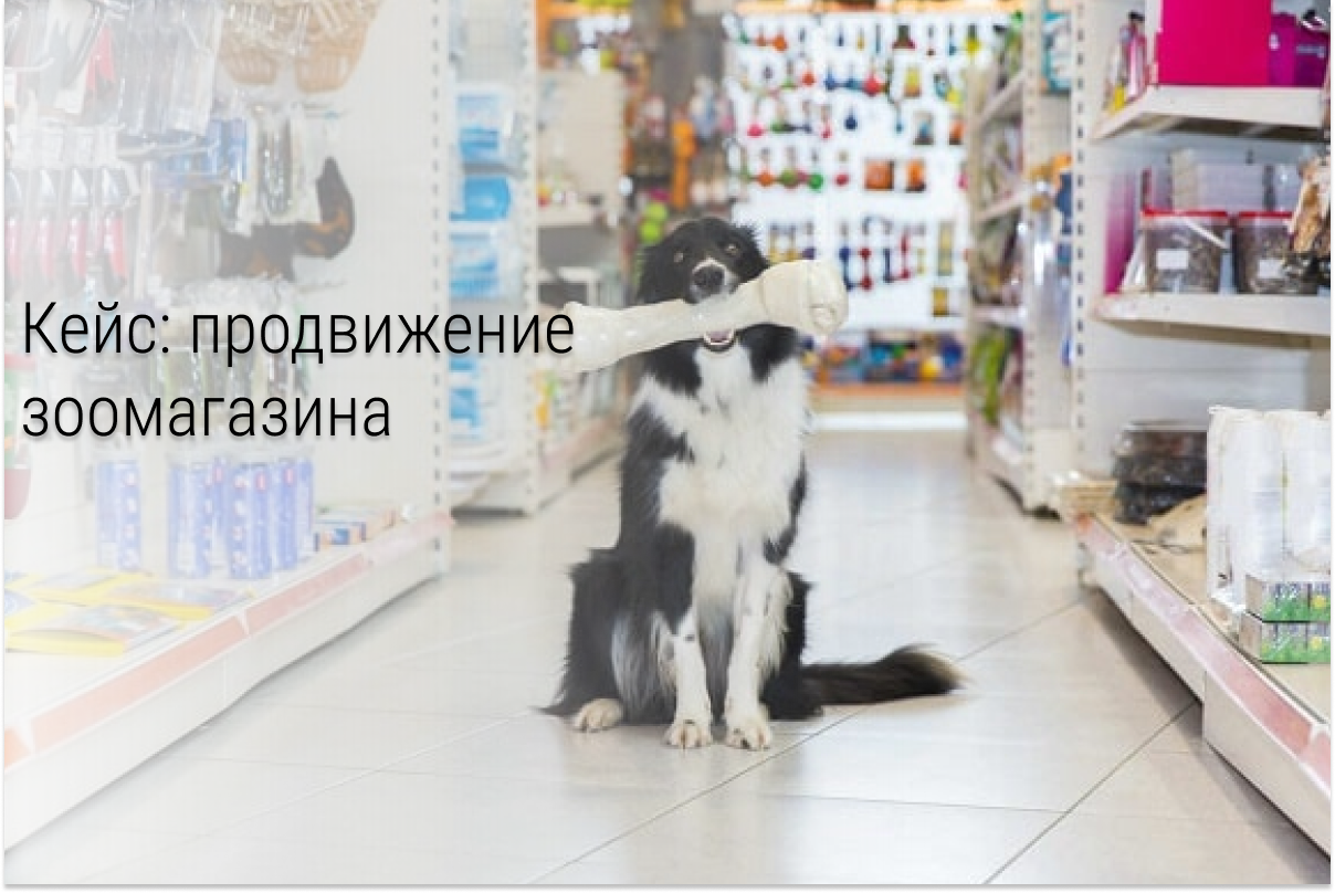 Кейс: Универсальная схема продаж для недорогих товаров на примере зоомагазина