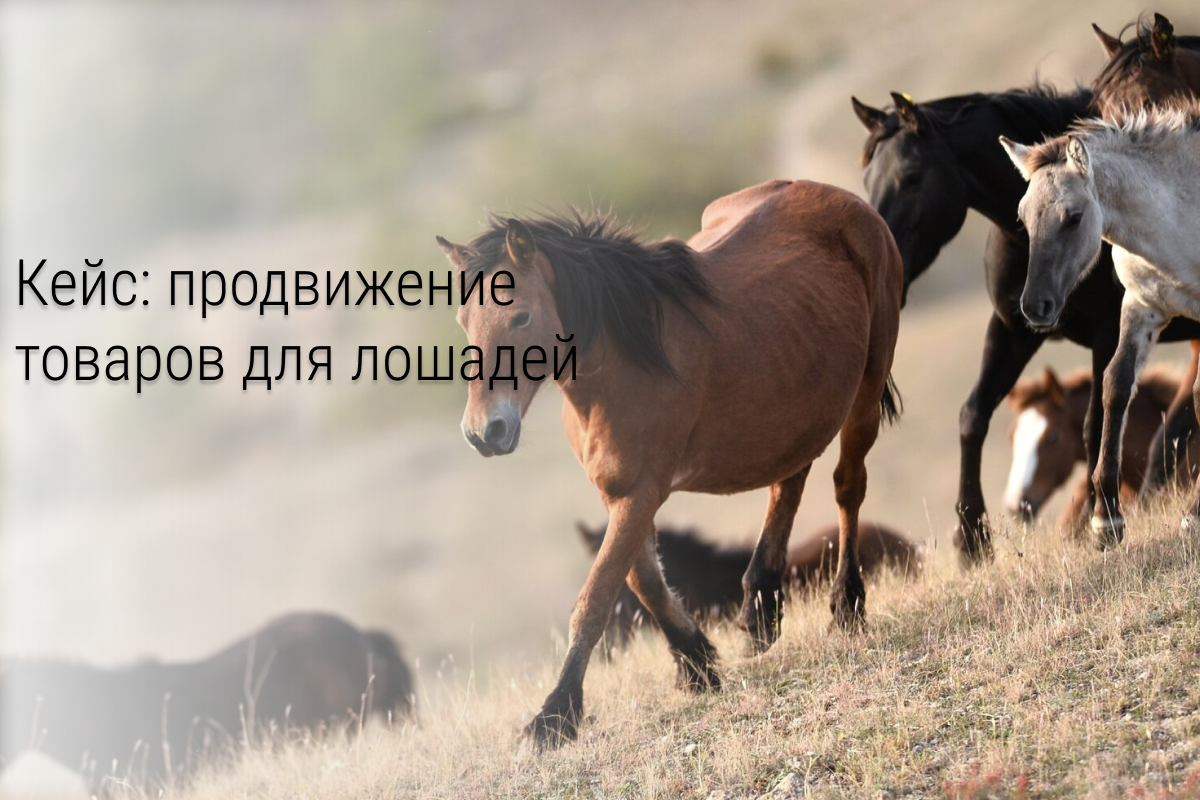 Кейс: Как выйти на окупаемость в 350% за 2 недели в специфической нише (Эластичные подковы из полиуретана).