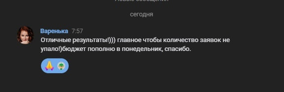 Кейс продвижения «Школы Мудрого Лиса» в Магнитогорске — иллюстрация 9