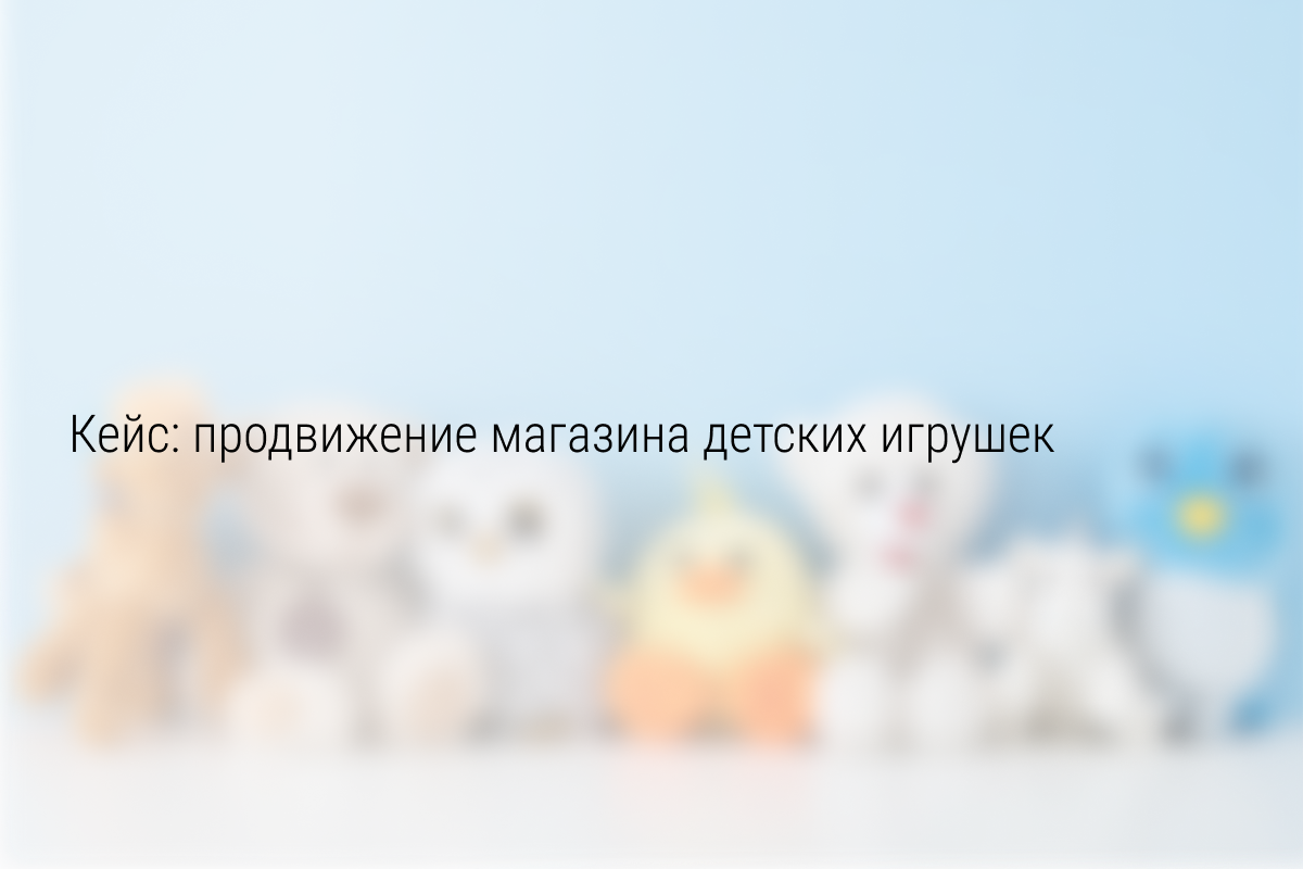 Кейс: 5 405 подписчиков по 10 рублей в магазин развивающих игрушек