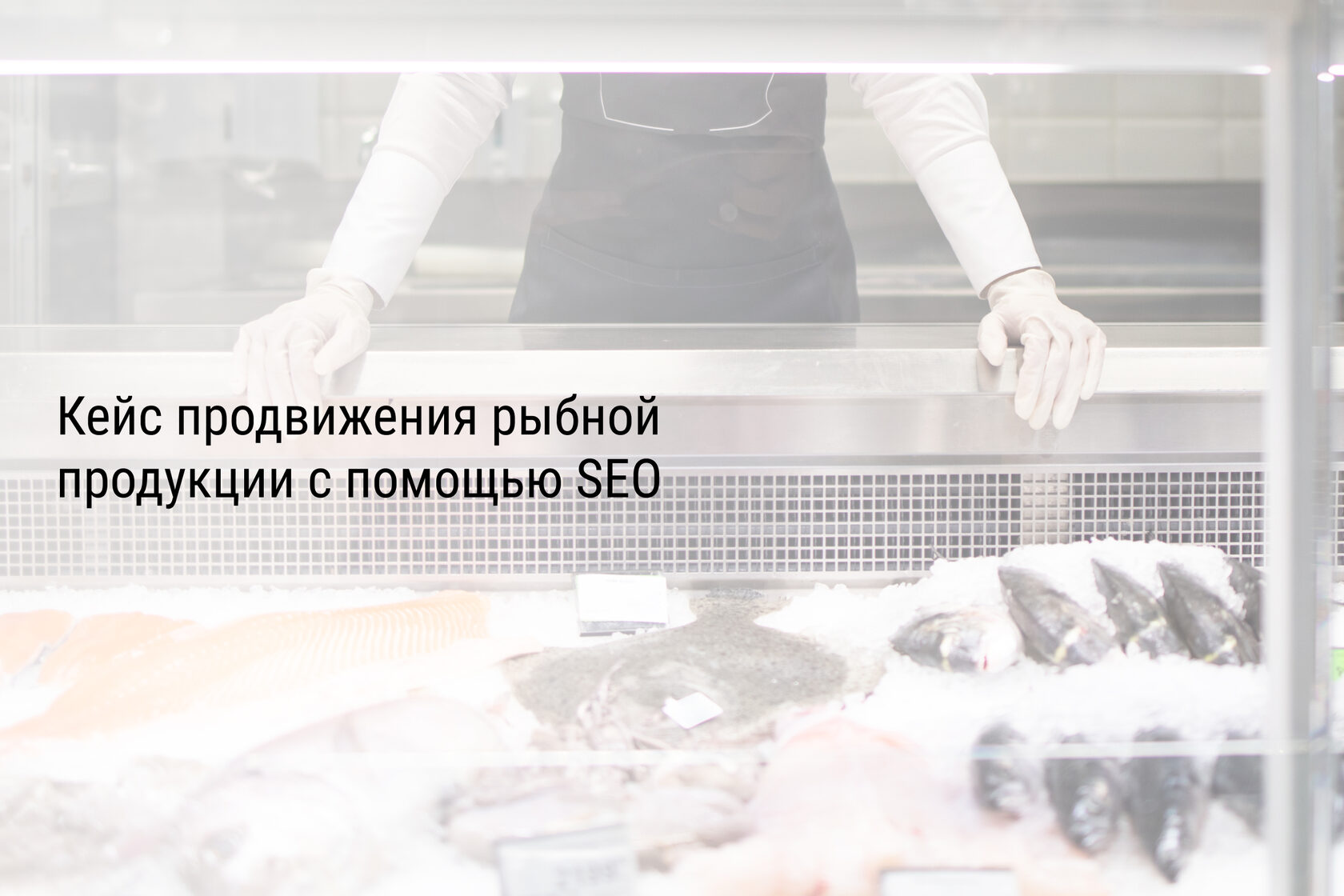 Кейс продвижения рыбной продукции с помощью SEO