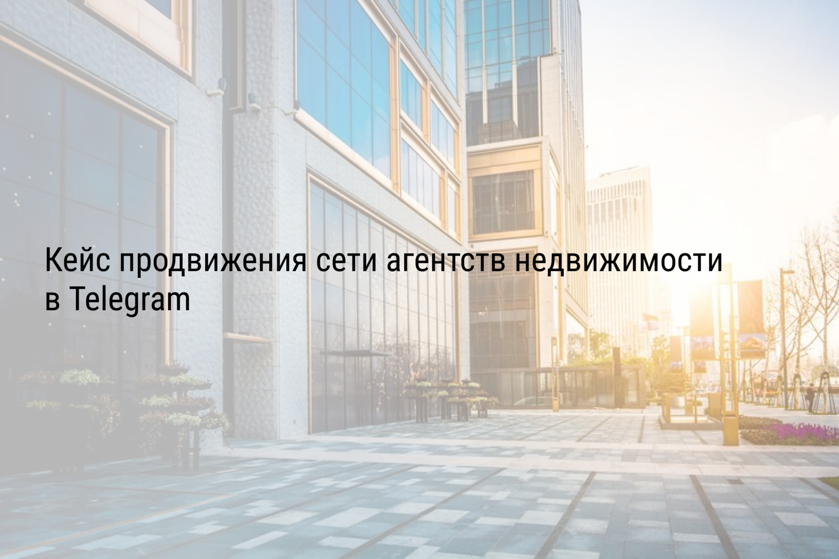 Кейс продвижения сети агентств недвижимости в Telegram