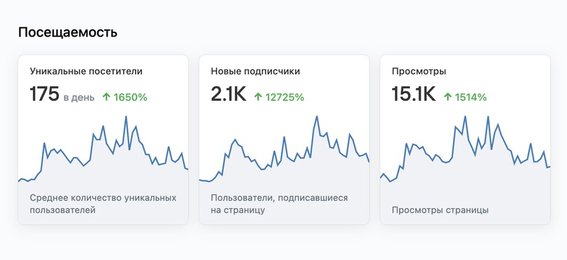 Кейс продвижения мастерской по пошиву и перешиву изделий из кожи и меха — иллюстрация 9